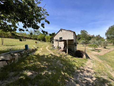 Quinta  Venda em São Miguel do Mato,Vouzela