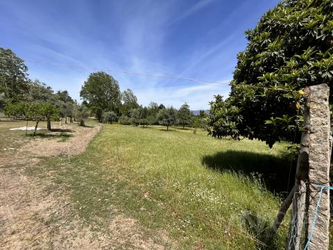 Quinta  Venda em São Miguel do Mato,Vouzela