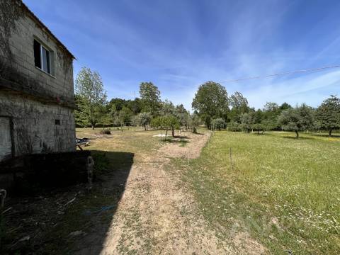 Quinta  Venda em São Miguel do Mato,Vouzela