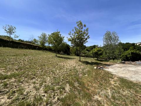 Quinta  Venda em São Miguel do Mato,Vouzela