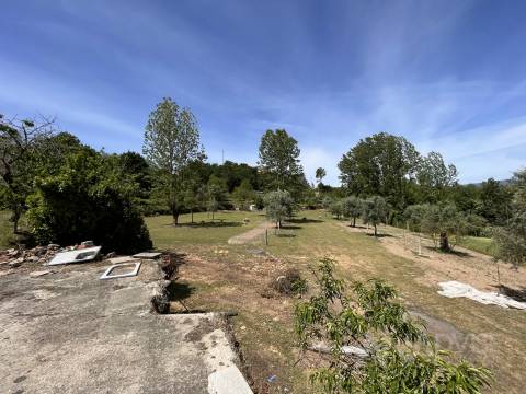 Quinta  Venda em São Miguel do Mato,Vouzela