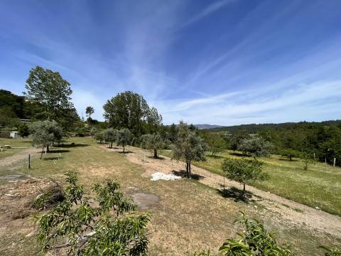 Quinta  Venda em São Miguel do Mato,Vouzela