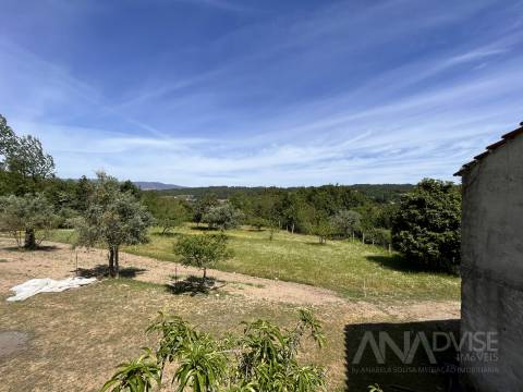 Quinta  Venda em São Miguel do Mato,Vouzela