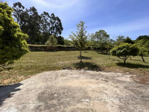 Quinta  Venda em São Miguel do Mato,Vouzela