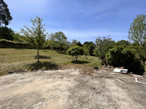 Quinta  Venda em São Miguel do Mato,Vouzela