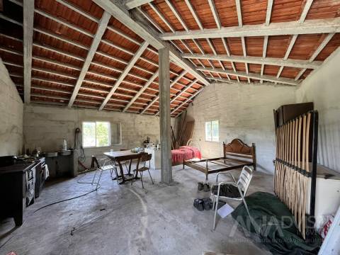 Quinta  Venda em São Miguel do Mato,Vouzela