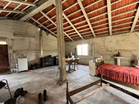 Quinta  Venda em São Miguel do Mato,Vouzela