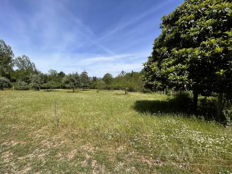 Quinta  Venda em São Miguel do Mato,Vouzela