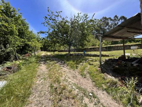 Quinta  Venda em São Miguel do Mato,Vouzela