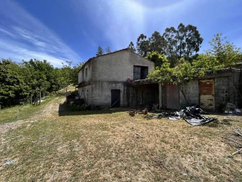 Quinta  Venda em São Miguel do Mato,Vouzela