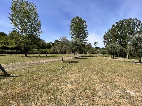 Quinta  Venda em São Miguel do Mato,Vouzela