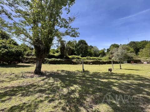 Quinta  Venda em São Miguel do Mato,Vouzela