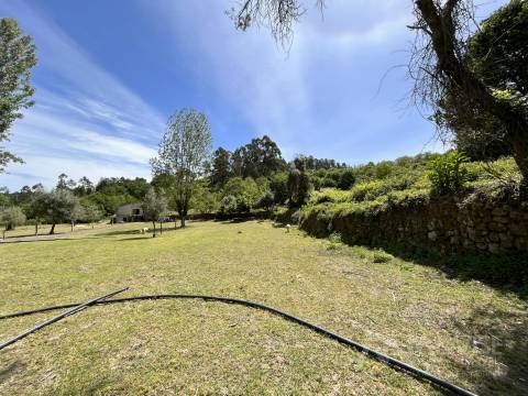 Quinta  Venda em São Miguel do Mato,Vouzela