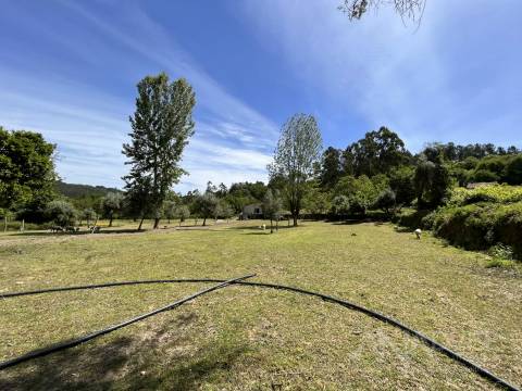 Quinta  Venda em São Miguel do Mato,Vouzela