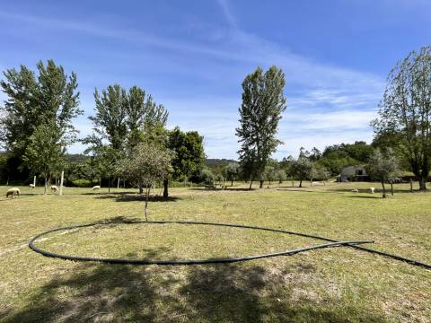 Quinta  Venda em São Miguel do Mato,Vouzela