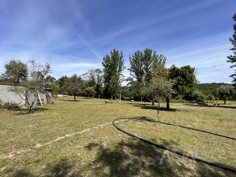Quinta  Venda em São Miguel do Mato,Vouzela