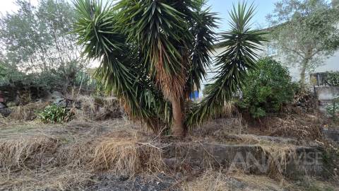 Moradia para Restaurar  Venda em Ranhados,Viseu