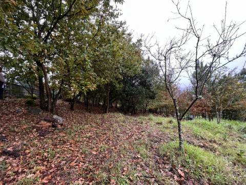 Terreno  Venda em Orgens,Viseu