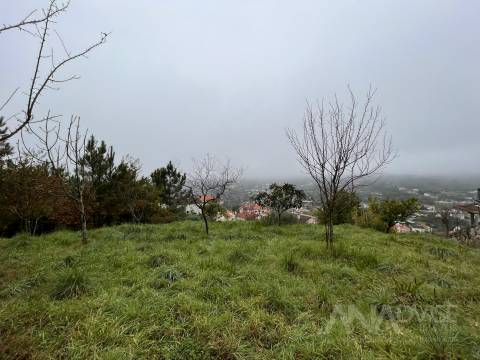 Terreno  Venda em Orgens,Viseu