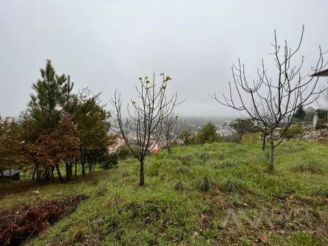 Terreno  Venda em Orgens,Viseu