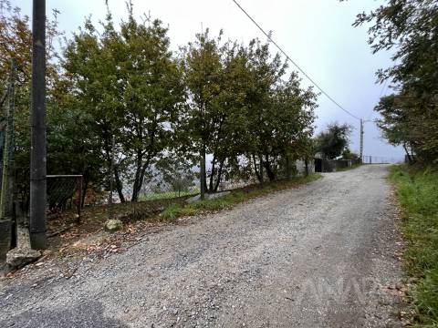 Terreno  Venda em Orgens,Viseu