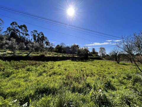 Lote de Terreno  Venda em Rio de Loba,Viseu