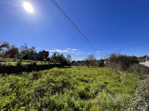 Lote de Terreno  Venda em Rio de Loba,Viseu