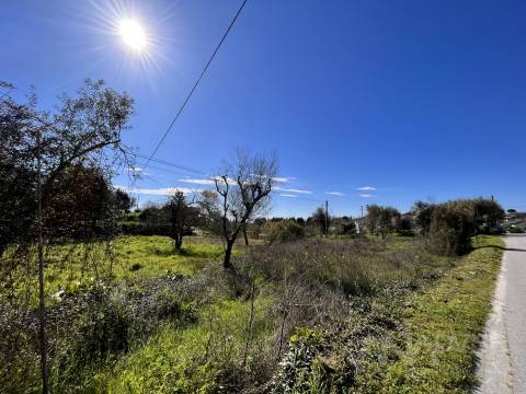 Lote de Terreno  Venda em Rio de Loba,Viseu