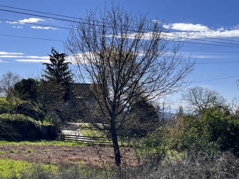 Lote de Terreno  Venda em Rio de Loba,Viseu