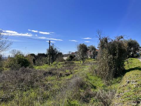 Lote de Terreno  Venda em Rio de Loba,Viseu