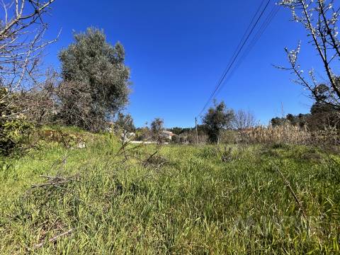 Lote de Terreno  Venda em Rio de Loba,Viseu