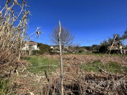 Lote de Terreno  Venda em Rio de Loba,Viseu