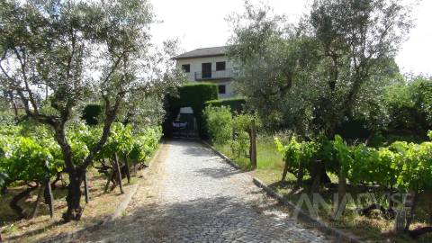 Moradia Isolada T3 Venda em Viseu,Viseu