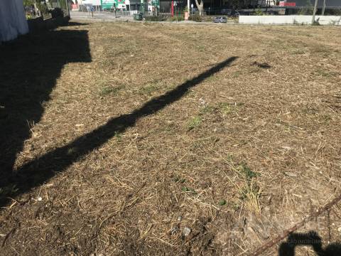 Terreno Urbano  Venda em Rio de Loba,Viseu