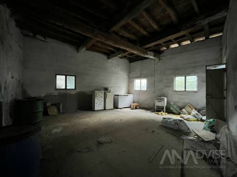 Moradia para Restaurar T4 Venda em Rio de Loba,Viseu