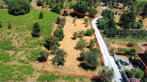 Terreno Para Construção T5 Venda em São João de Lourosa,Viseu