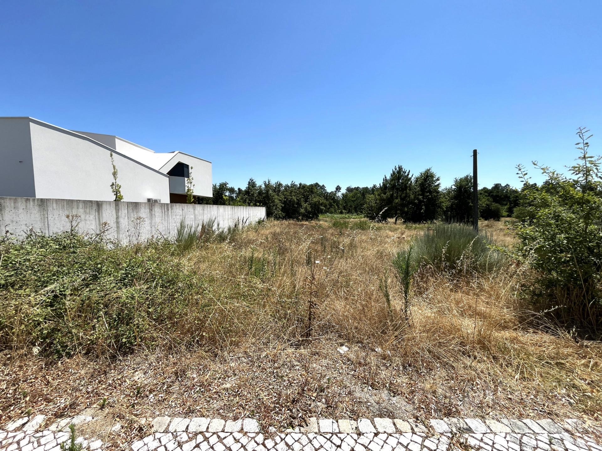 Loteamento  Venda em Ranhados,Viseu