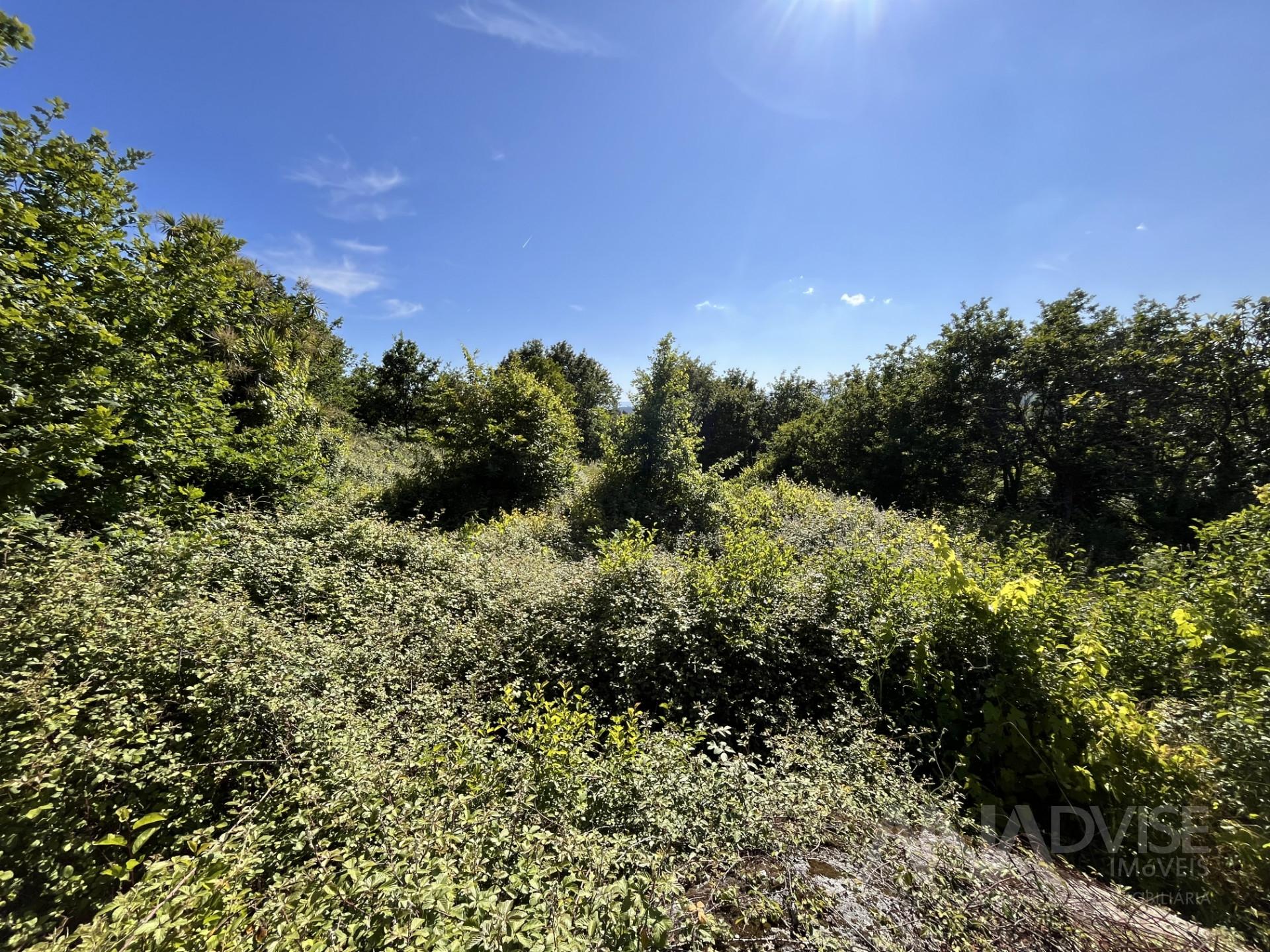 Terreno Para Construção  Venda em Orgens,Viseu