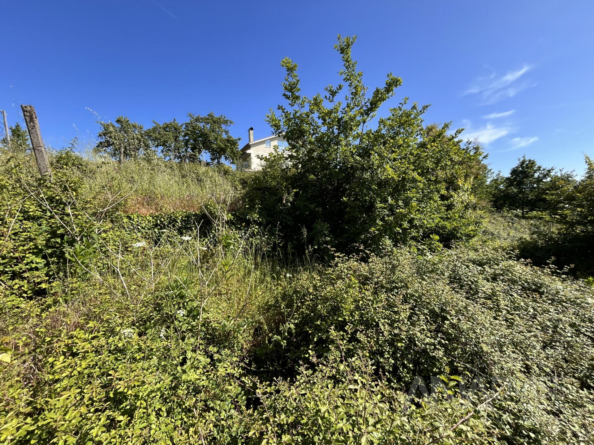 Terreno Para Construção  Venda em Orgens,Viseu