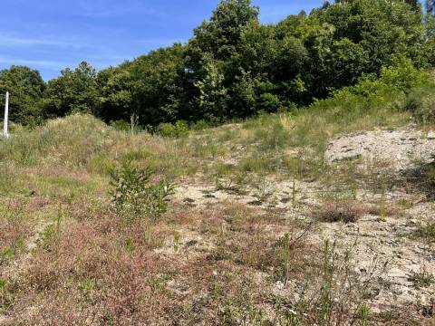 Terreno Para Construção  Venda em São Cipriano e Vil de Souto,Viseu