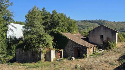 Quintinha T3 Venda em Fragosela,Viseu