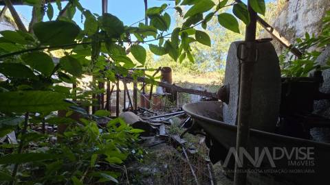 Quintinha T3 Venda em Fragosela,Viseu