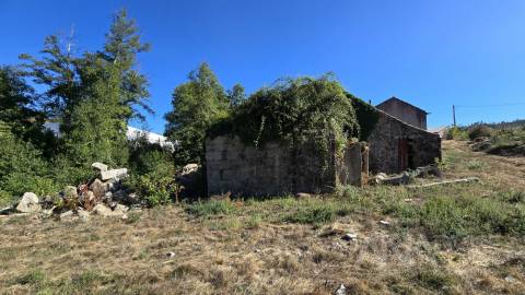 Quintinha T3 Venda em Fragosela,Viseu