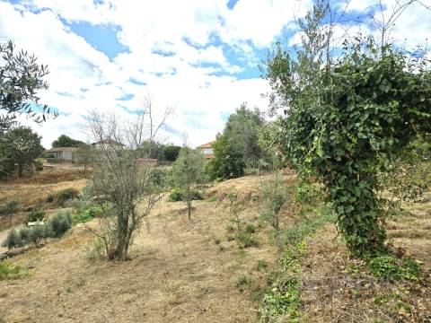 Moradia Isolada T3 Venda em São Pedro de France,Viseu