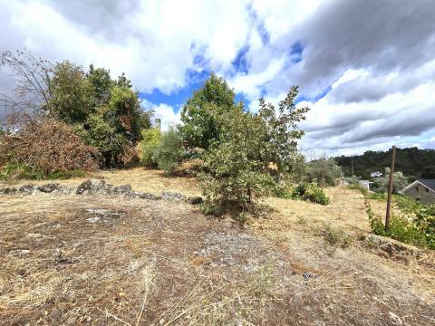 Moradia Isolada T3 Venda em São Pedro de France,Viseu