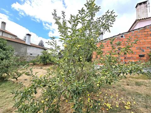 Moradia Isolada T3 Venda em São Pedro de France,Viseu