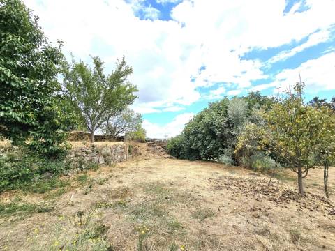 Moradia Isolada T3 Venda em São Pedro de France,Viseu