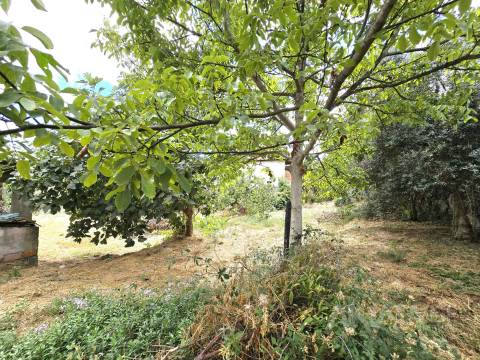 Moradia Isolada T3 Venda em São Pedro de France,Viseu