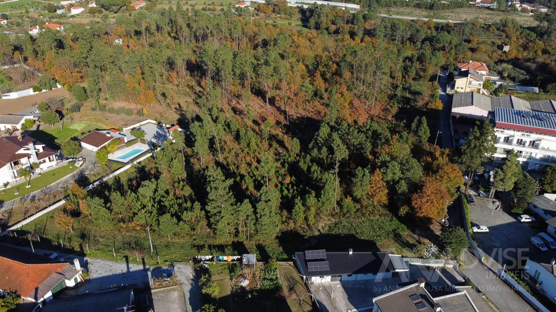 Terreno Para Construção  Venda em Rio de Loba,Viseu