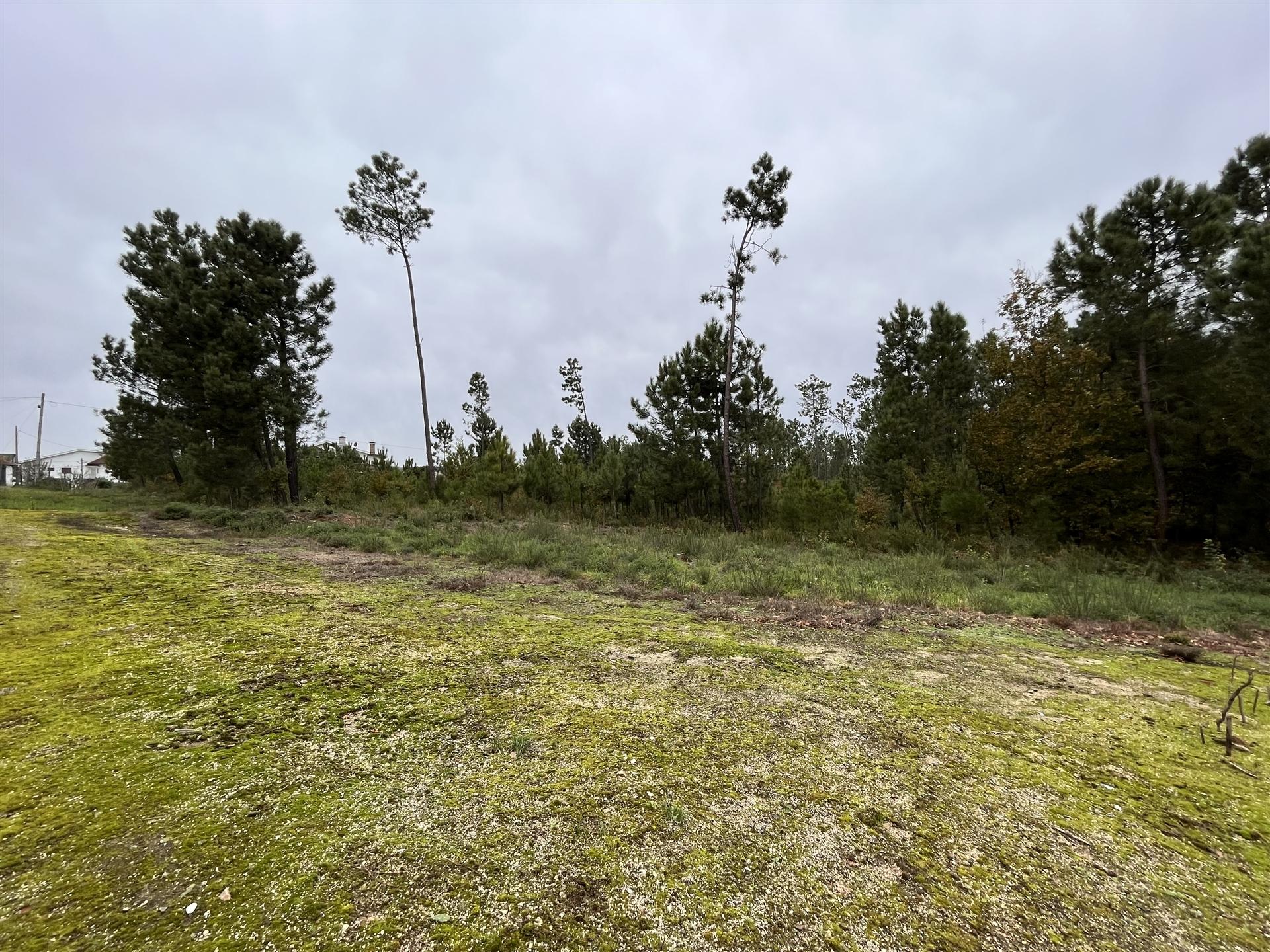 Terreno Para Construção  Venda em Rio de Loba,Viseu